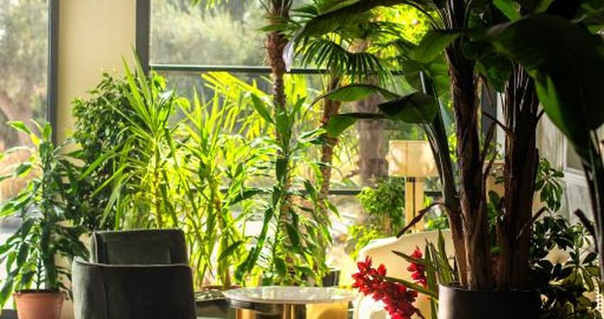 TNR Boutigue Hotel