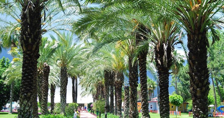 Quens Park Hotels Göynük