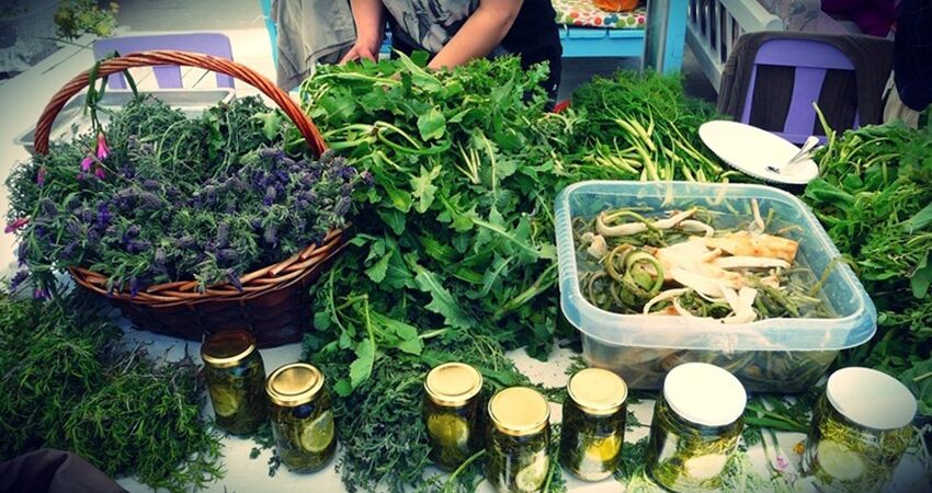 Alaçatı Ot Festivali - Çeşme Turu