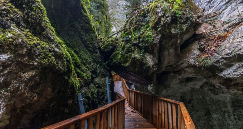 Horma Kanyonlu Batı Karadeniz