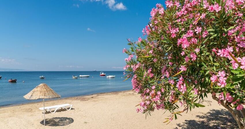 Erdek Avşa Adası Turu
