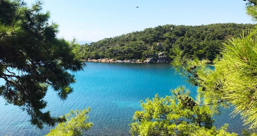 Ayvalık Tekne Turu