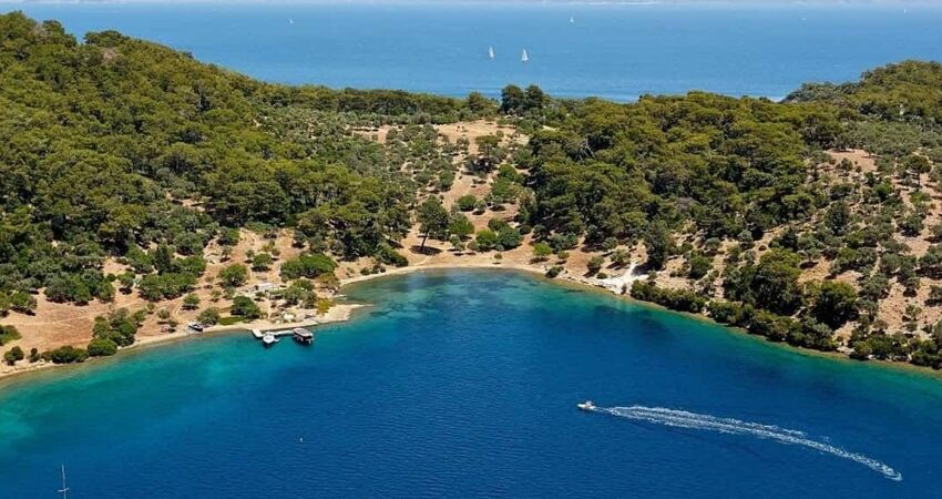 Didim Tekne Turu