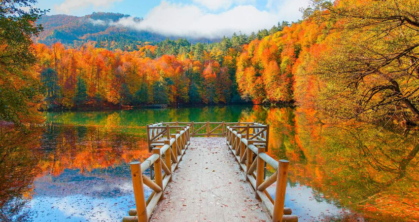 ABANT – GÖLCÜK - KARTEPE TURU