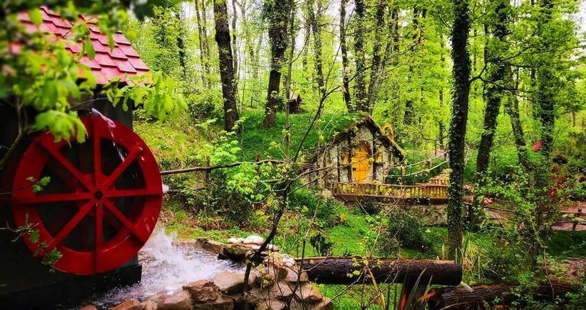 ABANT – GÖLCÜK - KARTEPE TURU