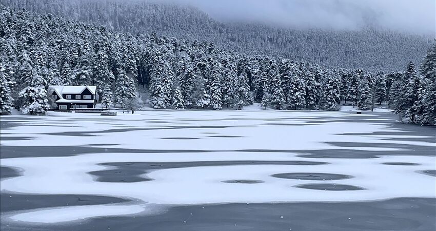 ABANT – GÖLCÜK - KARTEPE TURU